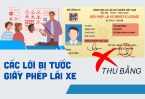 Các lỗi bị tước giấy phép lái xe