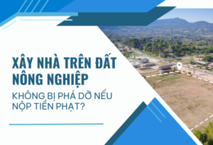 Xây nhà trên đất nông nghiệp không bị phá dỡ nếu nộp tiền phạt