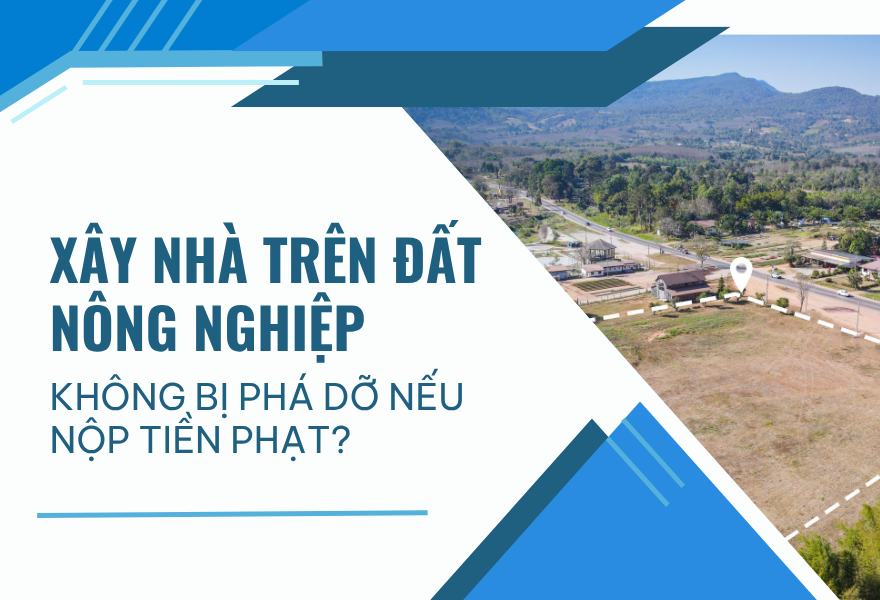 Xây nhà trên đất nông nghiệp không bị phá dỡ nếu nộp tiền phạt