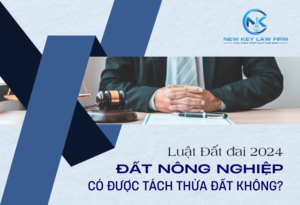 Luật Đất đai 2024_ Đất nông nghiệp có được tách thửa đất không