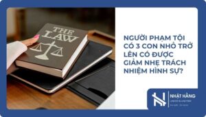 Người Phạm Tội Có 3 Con Nhỏ Trở Lên Có Được Giảm Nhẹ Trách Nhiệm Hình Sự?